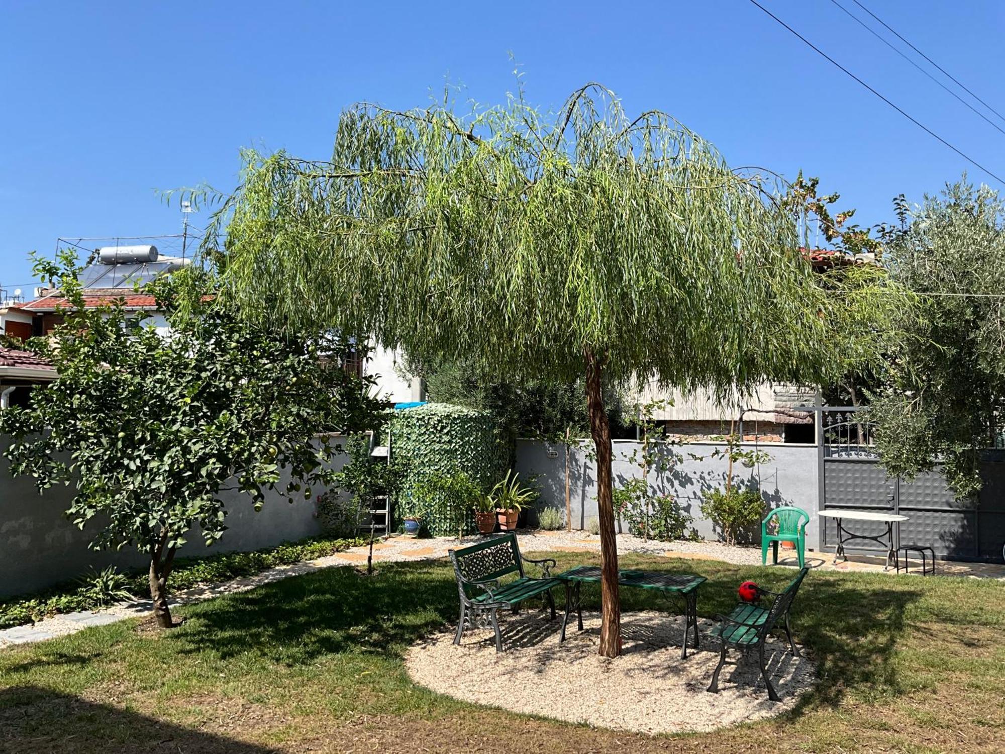 Vila Licenji Vlorë エクステリア 写真